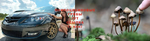 дурь Зерноград