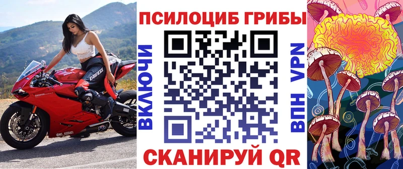 Купить закладки  Городище  Галлюциногенные грибы GOLDEN TEACHER 